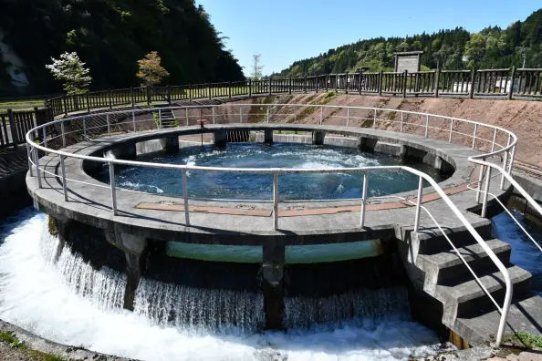 釈泉寺円筒分水槽-2