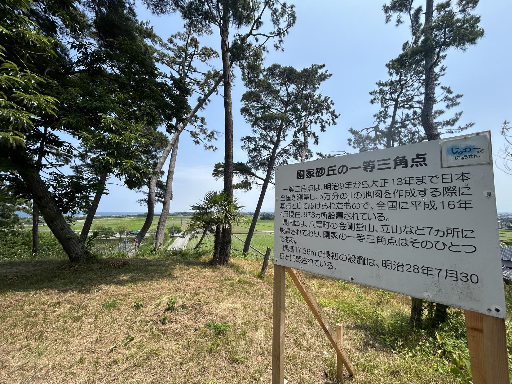 入善町にある園家砂丘の一等三角点-1