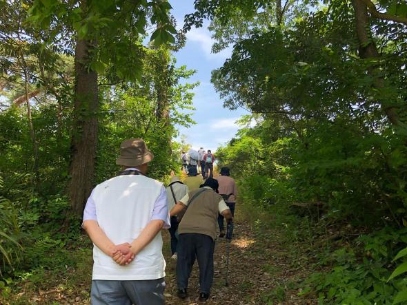 入善町にある園家砂丘の一等三角点-4