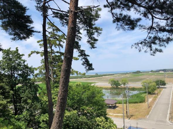 入善町にある園家砂丘の一等三角点-5