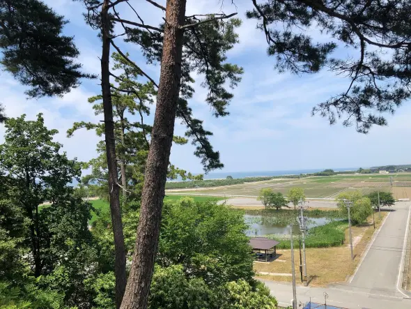 入善町にある園家砂丘の一等三角点-5