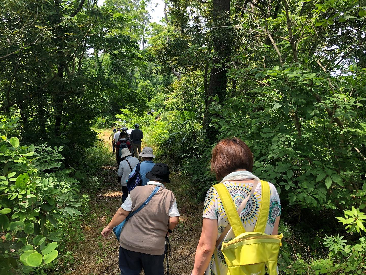 入善町にある園家砂丘の一等三角点-3