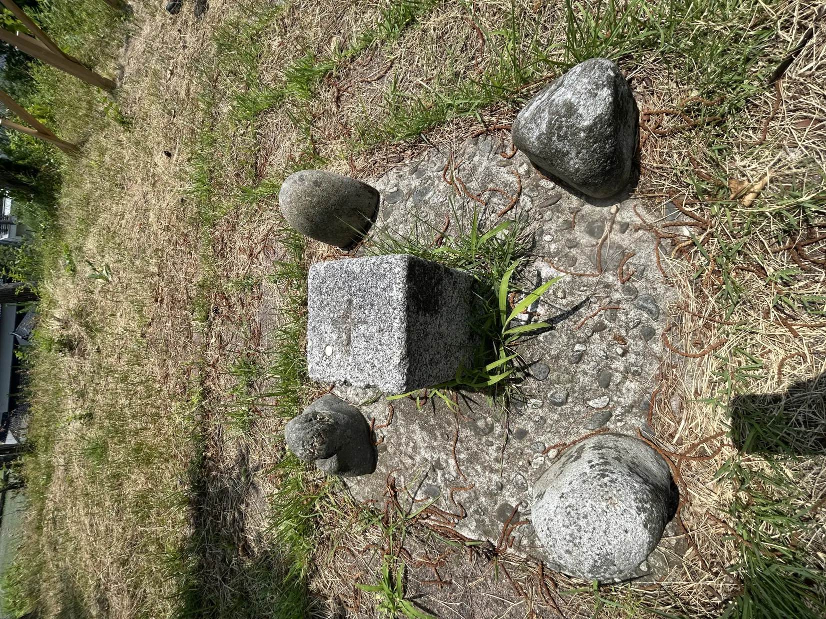 入善町にある園家砂丘の一等三角点-2