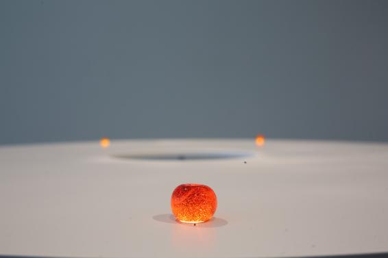 NAMERIKAWA ARTIST IN RESIDENCE 2025　-4