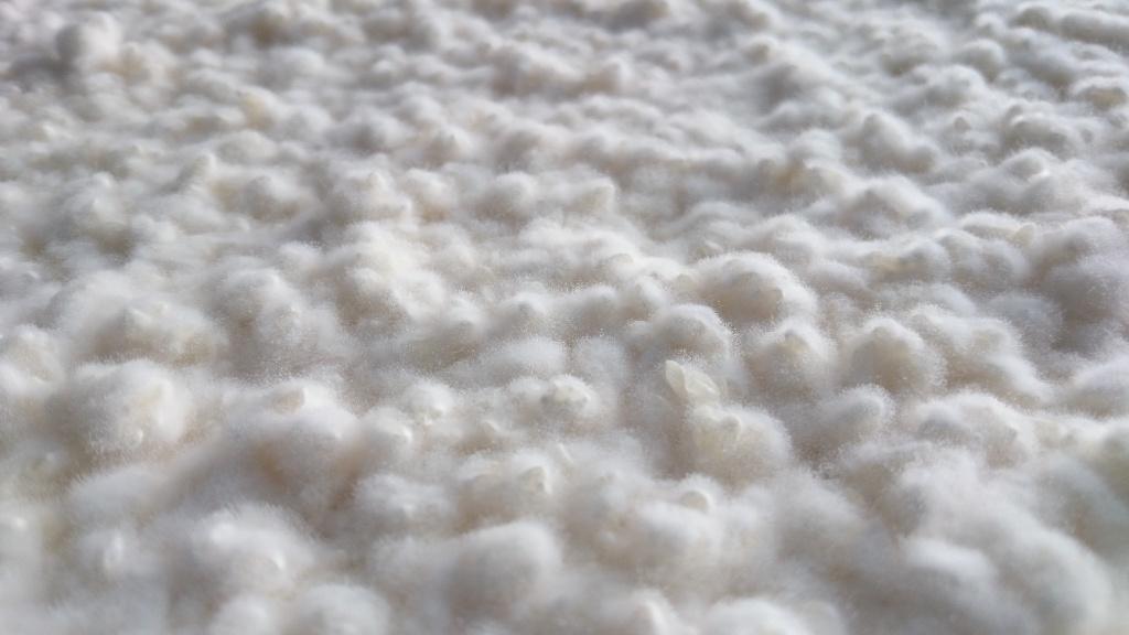 新村こうじみそ商店-2