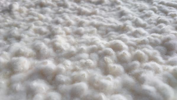 新村こうじみそ商店-2