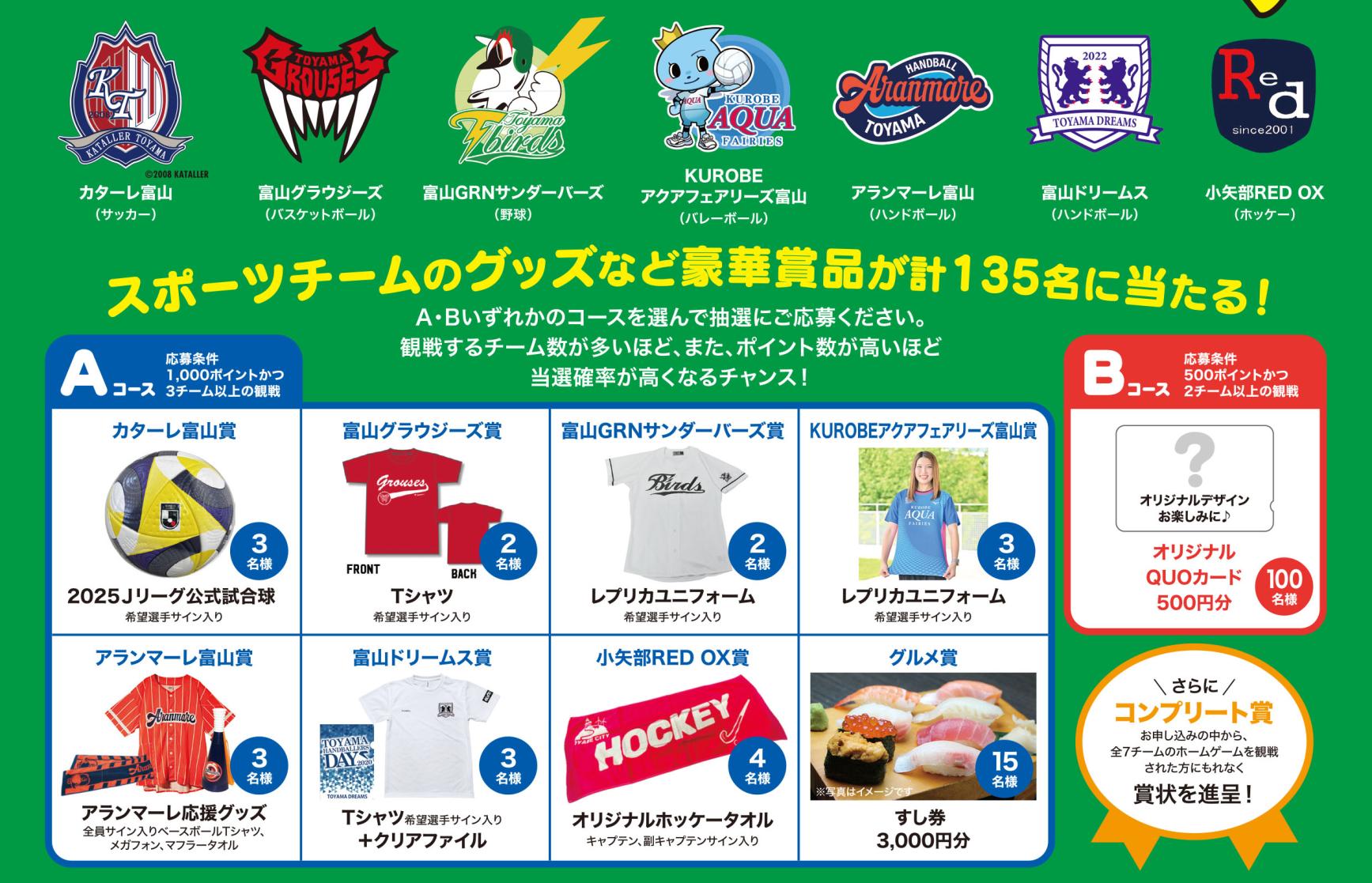 チームTOYAMA応援デジタルスタンプラリー-1