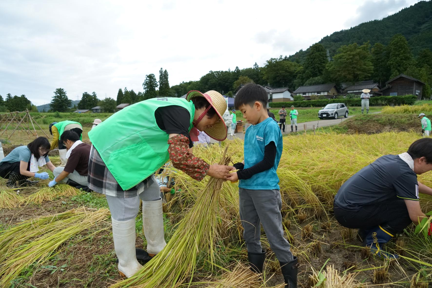 【2026年9月20日（日）】稲刈り体験 ― ザクッと一束、秋の手仕事に夢中になる日-7