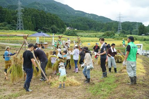 【2026年9月20日（日）】稲刈り体験 ― ザクッと一束、秋の手仕事に夢中になる日-3