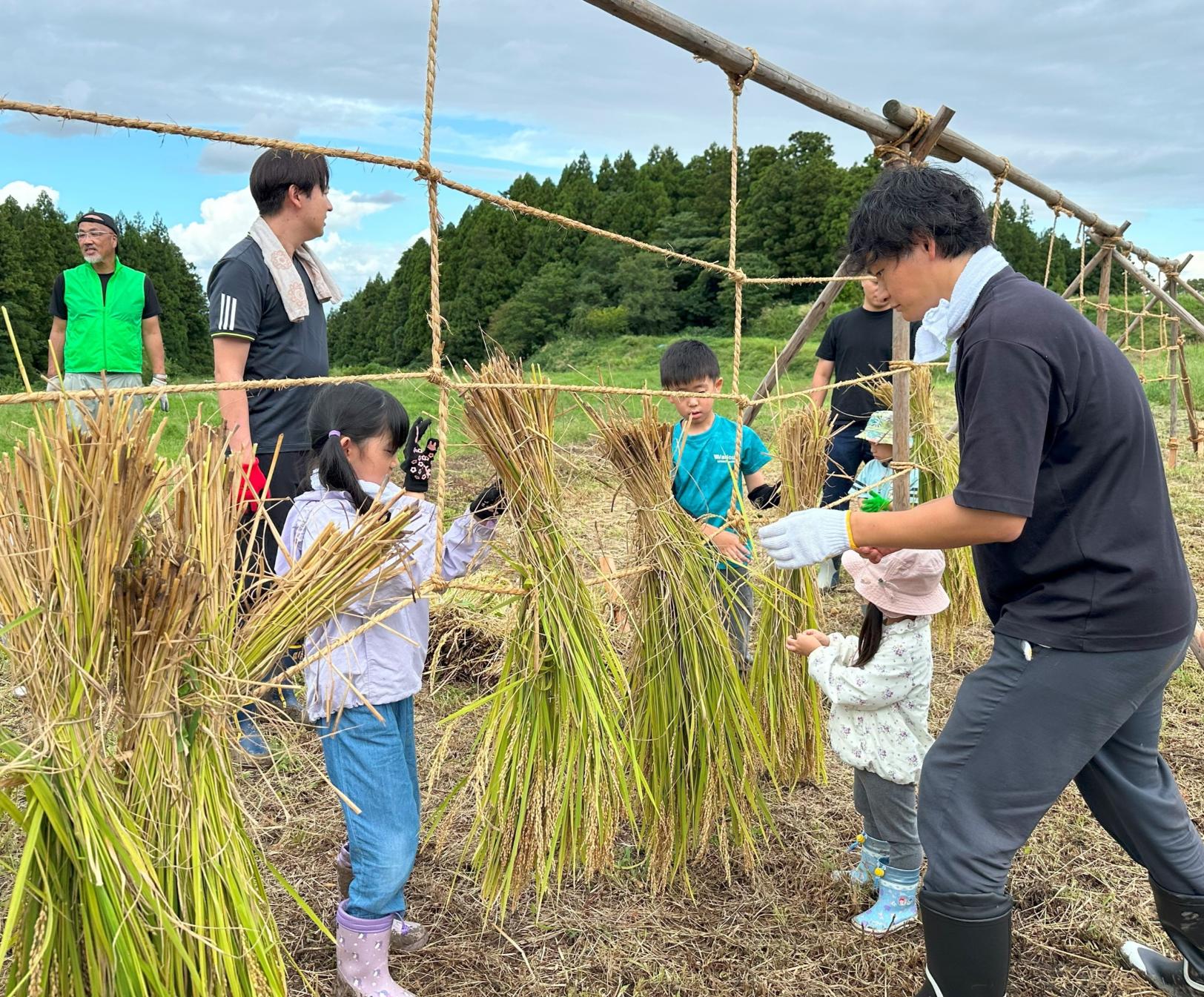 【2026年9月20日（日）】稲刈り体験 ― ザクッと一束、秋の手仕事に夢中になる日-2