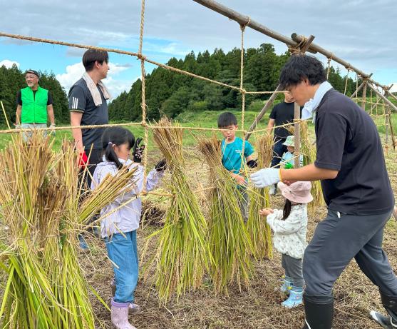 【2026年9月20日（日）】稲刈り体験 ― ザクッと一束、秋の手仕事に夢中になる日-2