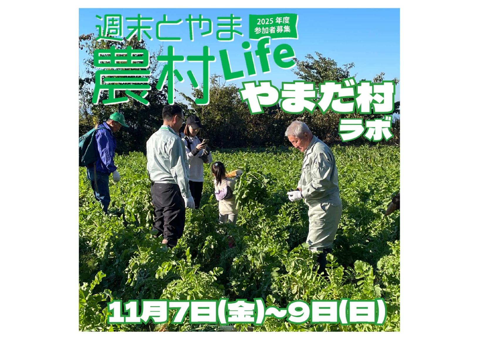 ラボライブラリーGT-11・TOM SAWYER Reading] 