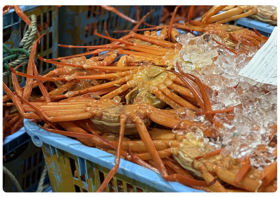 （終了）魚津駅前屋台「秋酒と紅ズワイ」-1