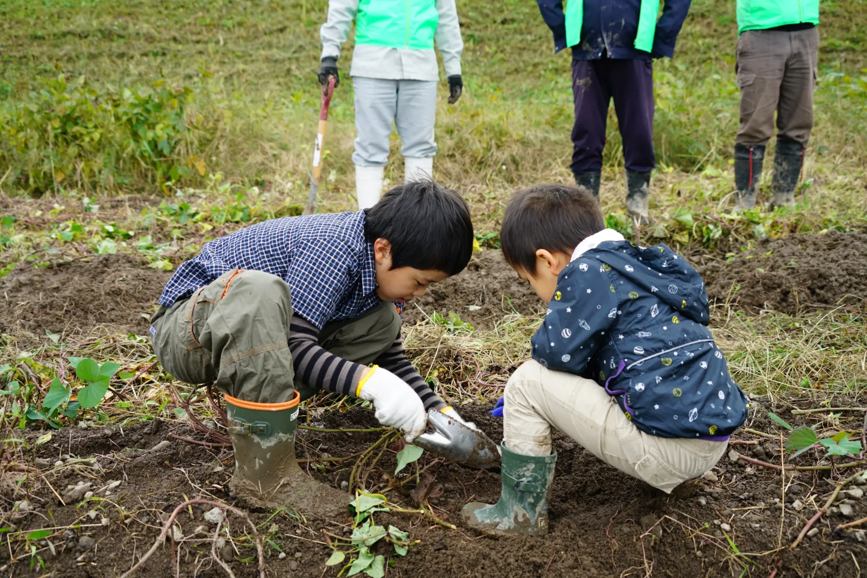 【2026年10月18日(日) 】ねっとり極甘！志観寺のさつまいもを掘って食べよう！-3