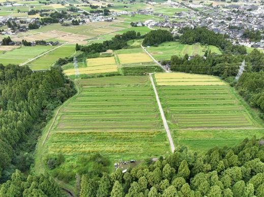 【2026年10月18日(日) 】ねっとり極甘！志観寺のさつまいもを掘って食べよう🍠-2