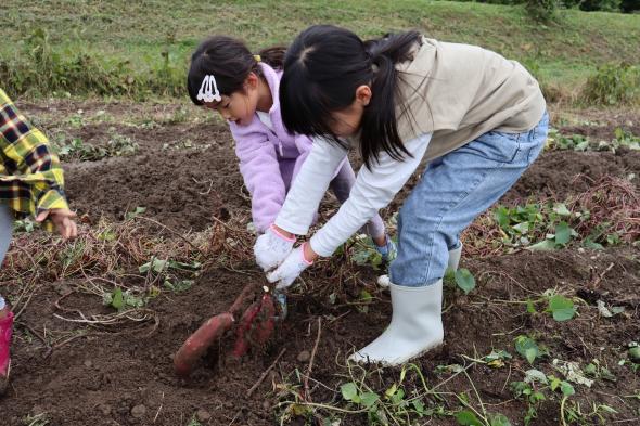 【2026年10月18日(日) 】ねっとり極甘！志観寺のさつまいもを掘って食べよう🍠-0
