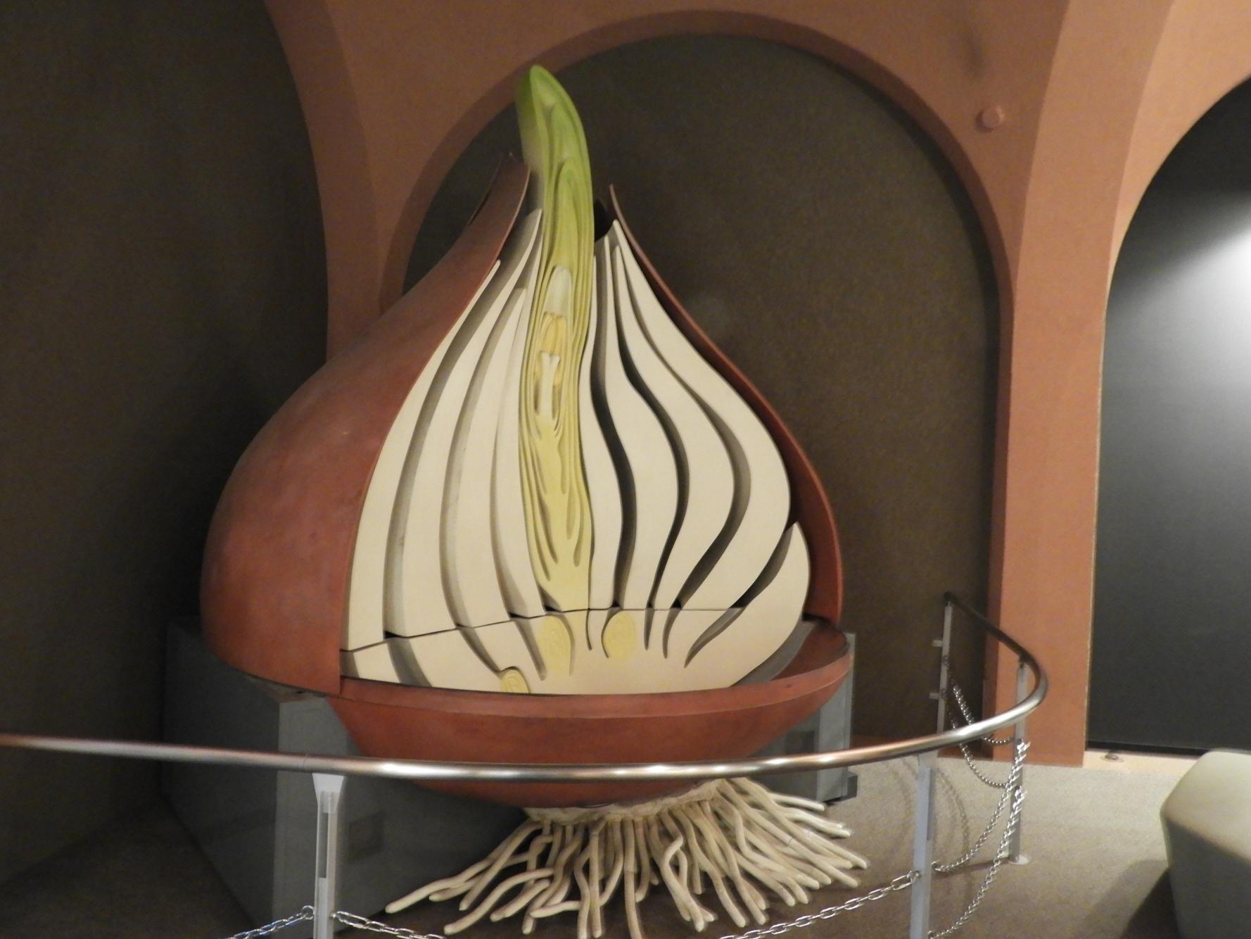 2026 Winter Sightseeing Bus Tour – Shogawa Gorge Cruise & Toyama Highlights-7