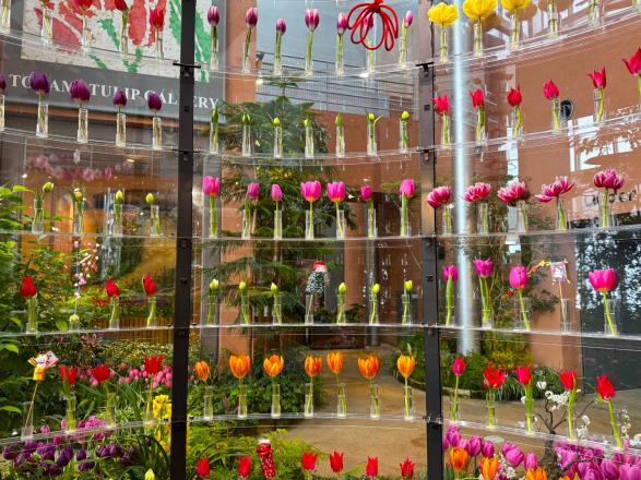 冬限定・JR富山駅発！ 幻想的な庄川峡遊覧船と人気スポット 満喫バスツアー-4