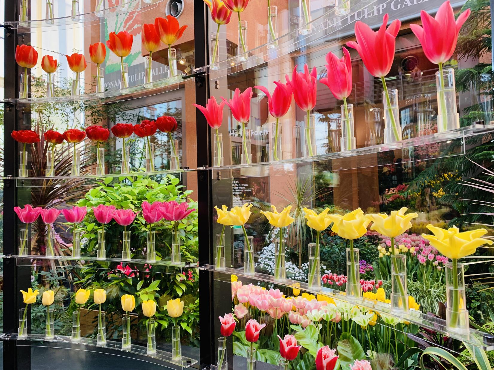 2026 Winter Sightseeing Bus Tour – Shogawa Gorge Cruise & Toyama Highlights-2