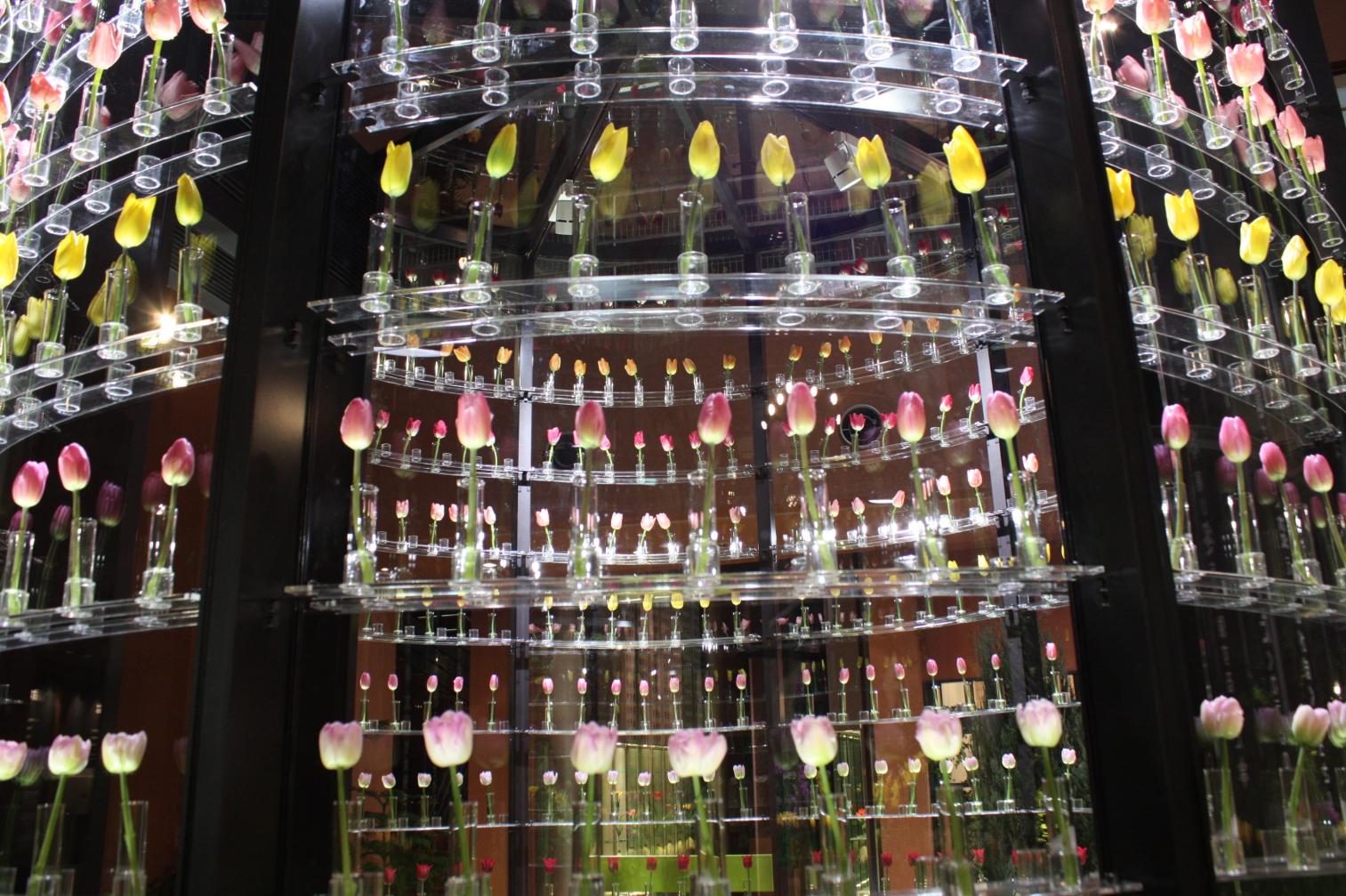 2026 Winter Sightseeing Bus Tour – Shogawa Gorge Cruise & Toyama Highlights-6