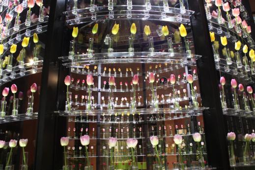 2026 Winter Sightseeing Bus Tour – Shogawa Gorge Cruise & Toyama Highlights-6