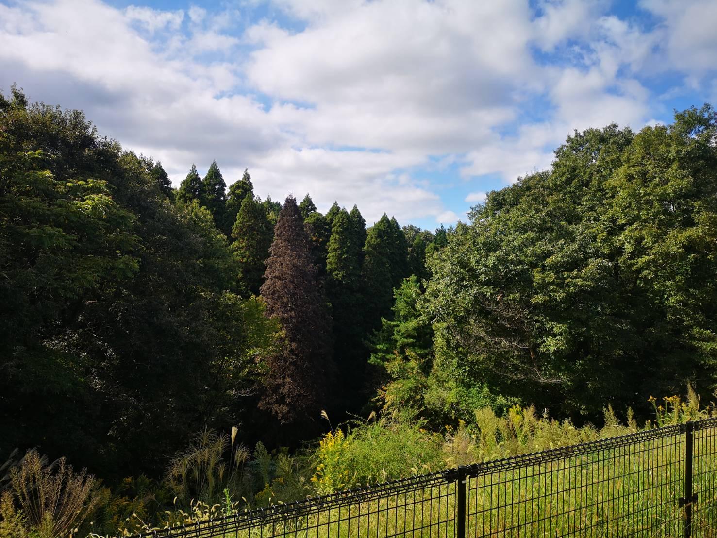 古洞の森温泉-3