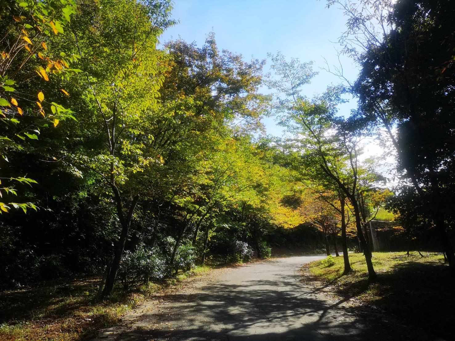 古洞の森温泉-4