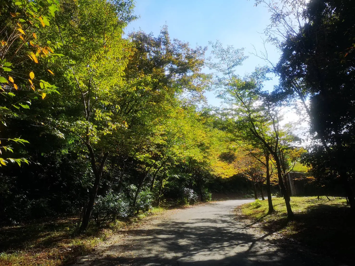 古洞の森温泉-4