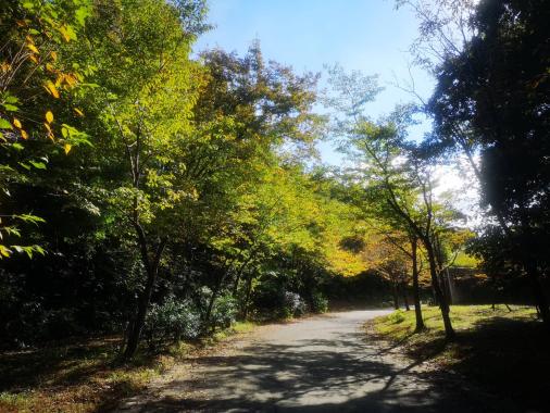 古洞の森温泉-4