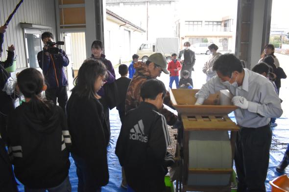 舟橋村サンフラワープロジェクト2025～種からオイルができるまで～-3