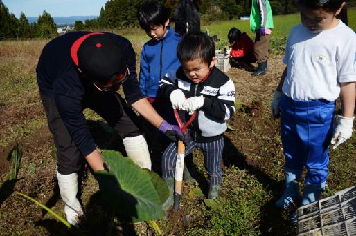 【2026年11月15日(日) 】志観寺の棚田で“宝探し”のような里芋掘りに挑戦!!-0