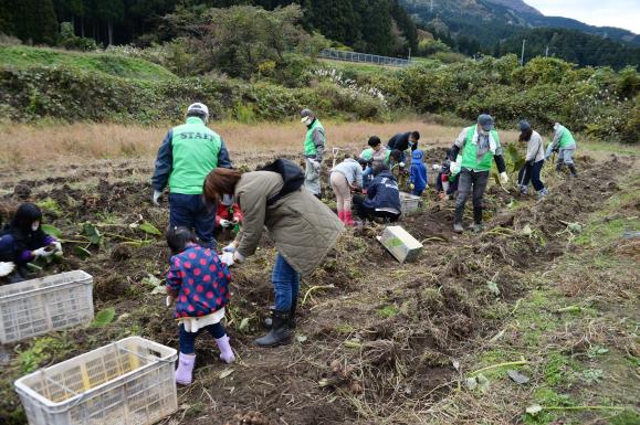 【2026年11月15日(日) 】志観寺の棚田で“宝探し”のような里芋掘りに挑戦!!-1