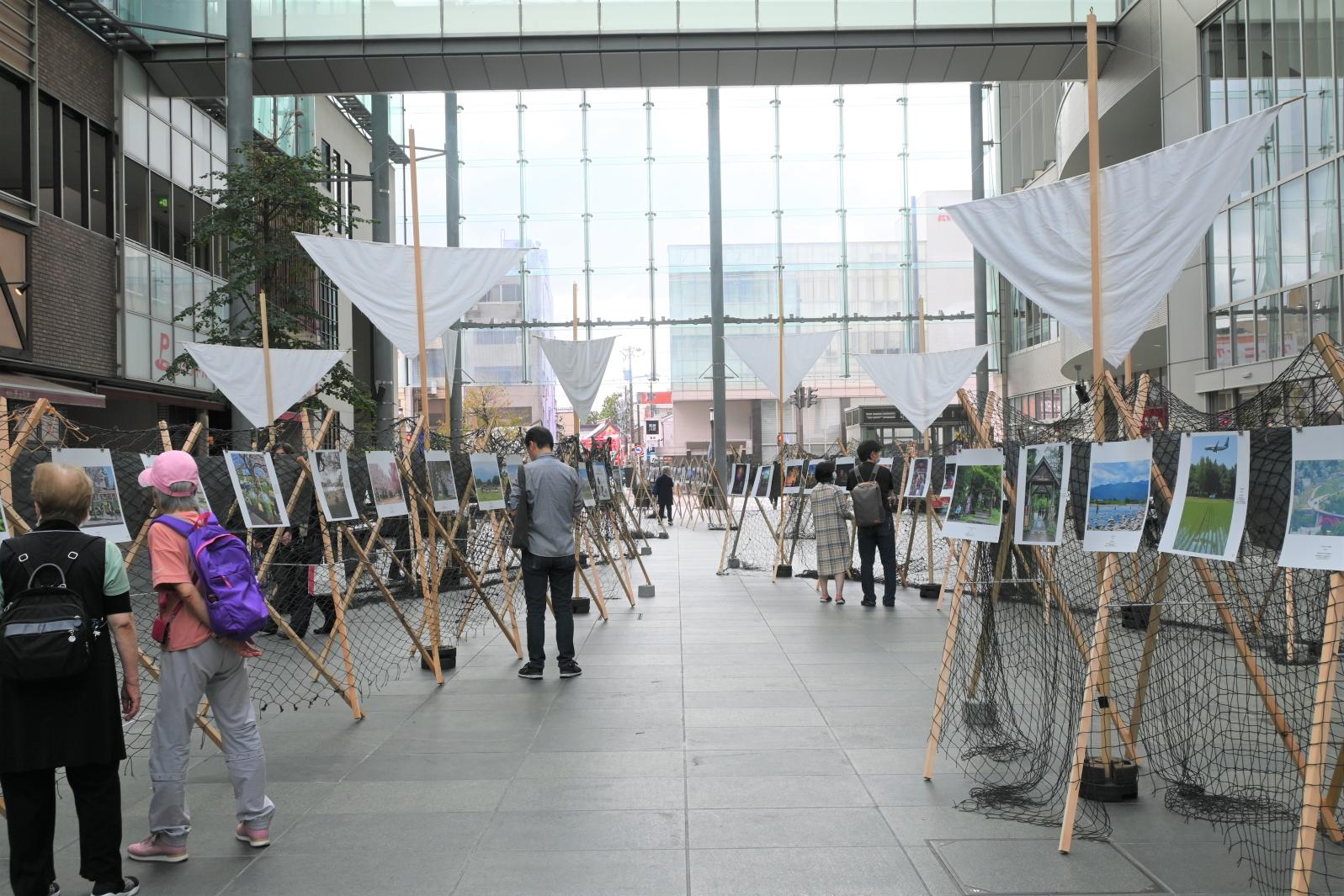 フォトキト2025-1