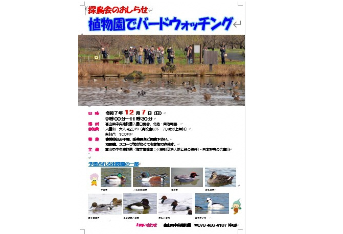 植物園でバードウォッチング-1