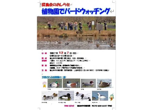 植物園でバードウォッチング-1