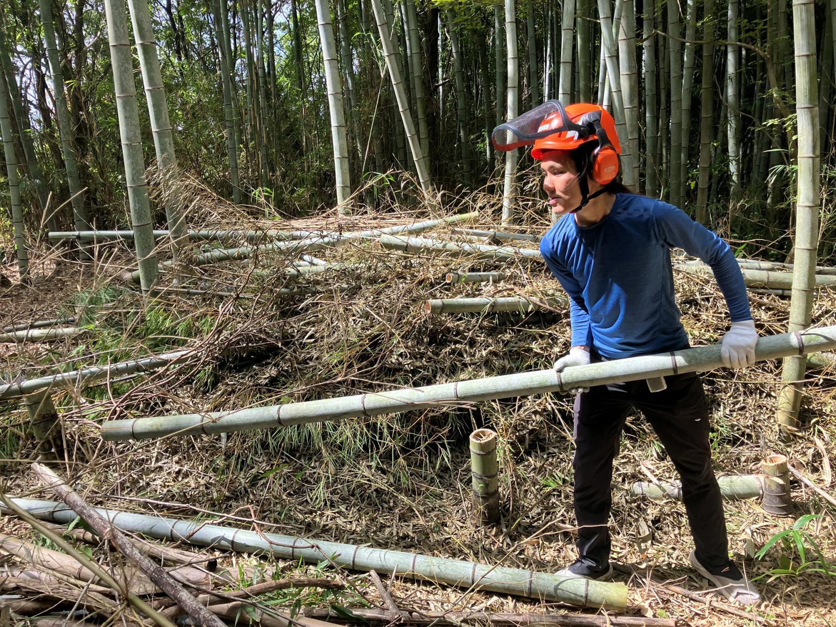竹林整備ボランティア募集中-1