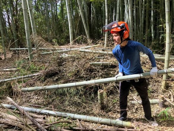 竹林整備ボランティア募集中-1