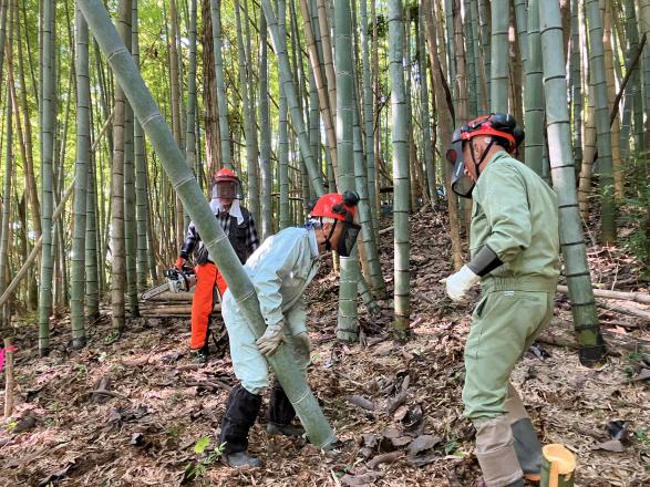 竹林整備ボランティア募集中-2