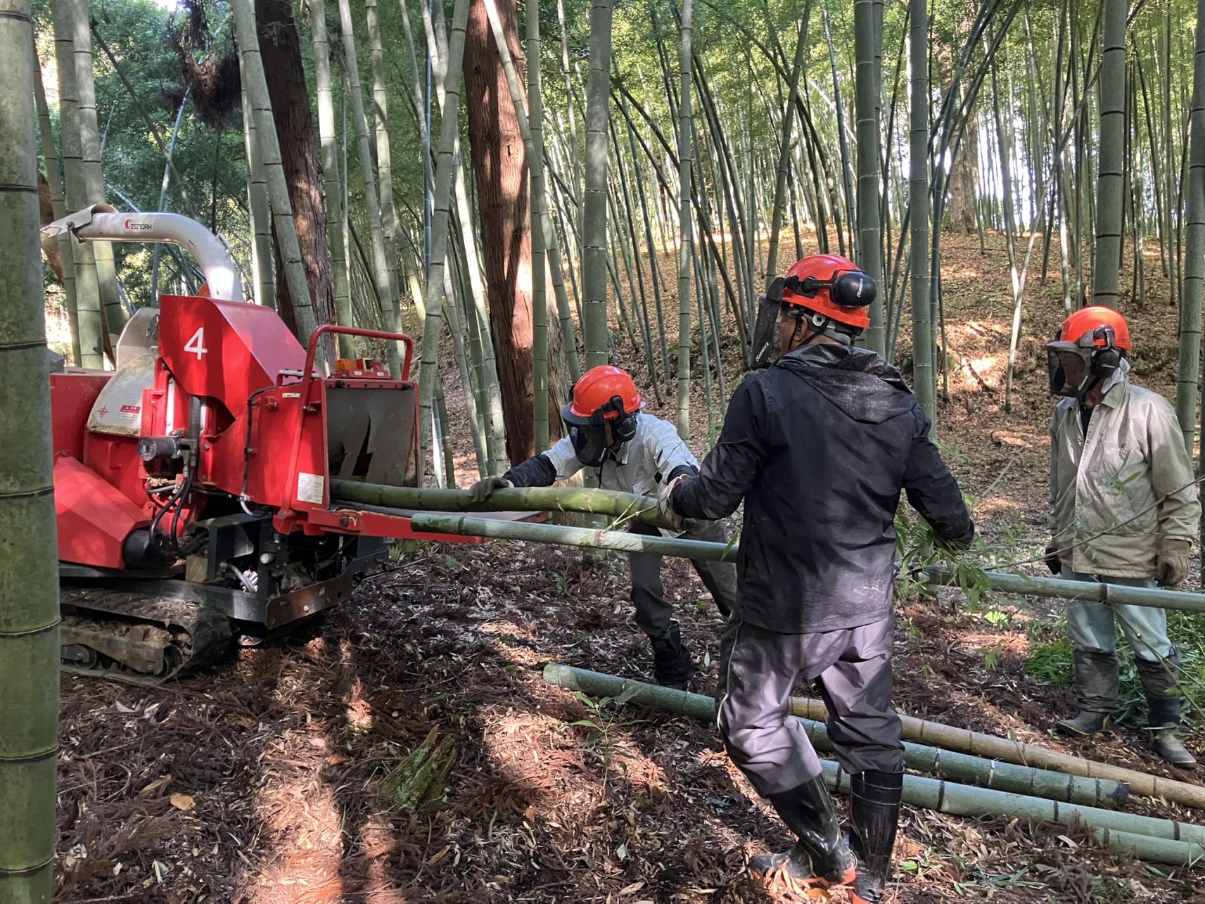 竹林整備ボランティア募集中-3