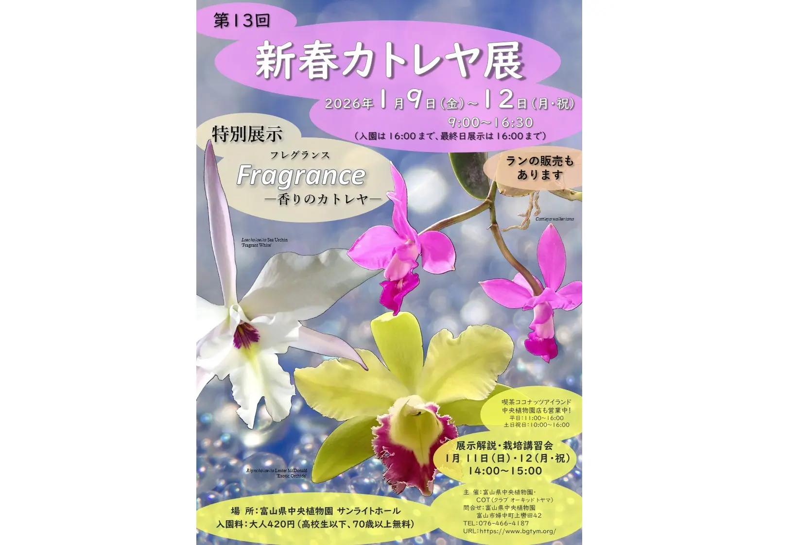 第13回新春カトレヤ展 | イベント | 【公式】富山県の観光/旅行サイト