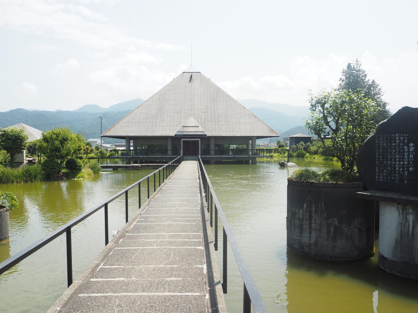 百河豚美術館-1