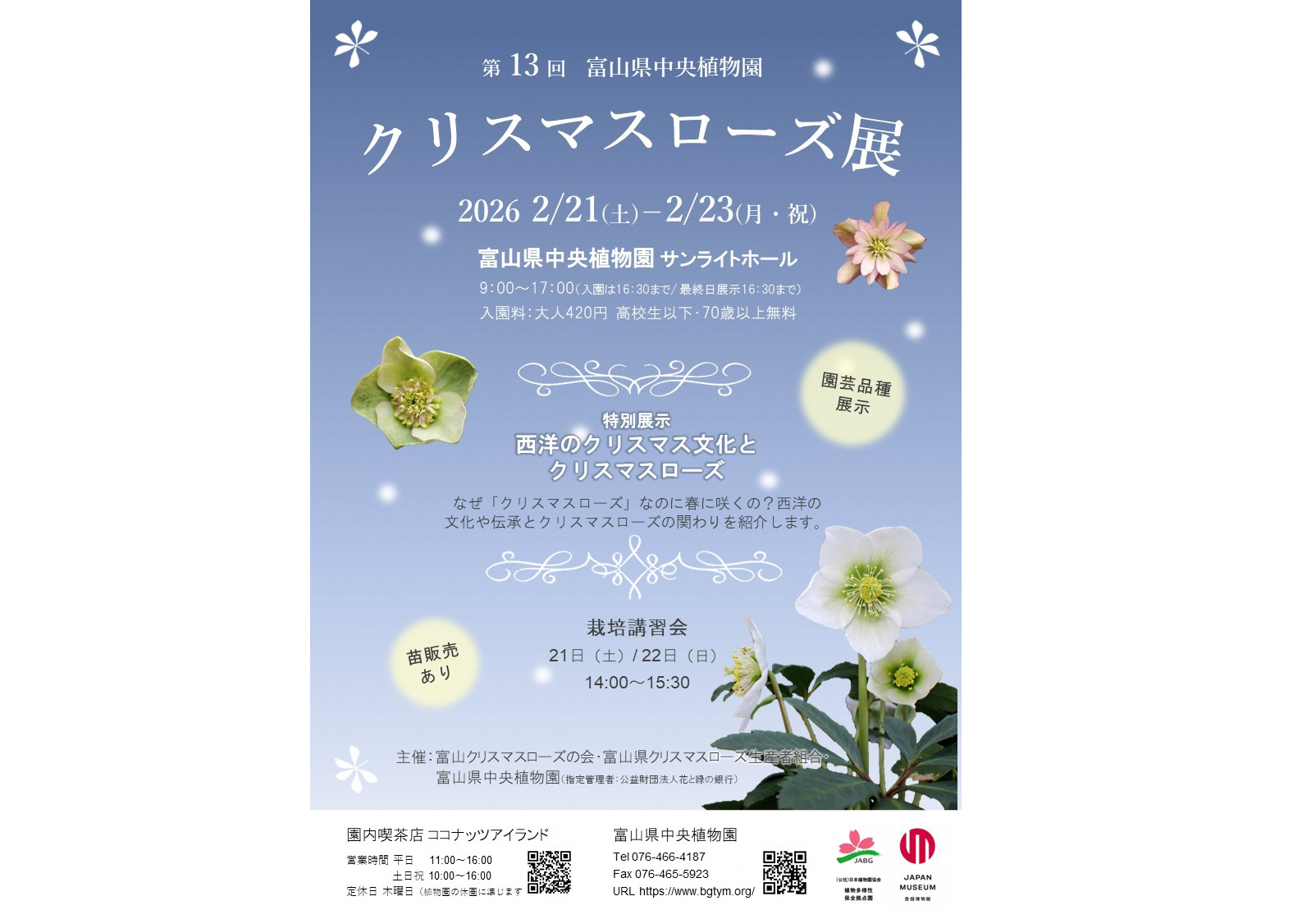 第13回クリスマスローズ展-1