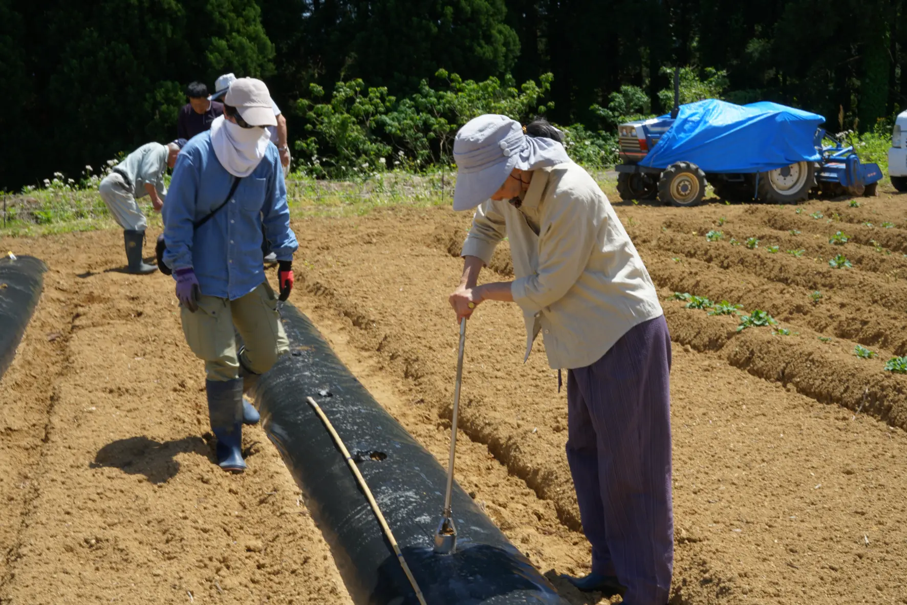 【開催終了】農村宿泊体験「山田を味わおう～2026春～」-1