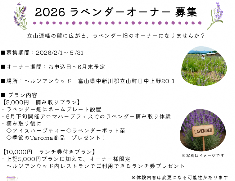 ヘルジアンウッド　2026ラベンダーオーナー募集！-2