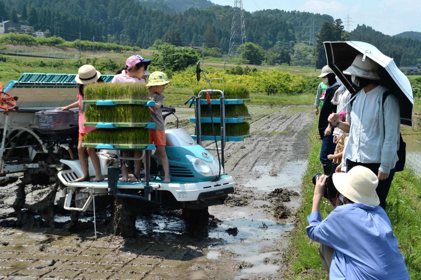 【2026年5月17日(日) 】志観寺の棚田で田植え体験   はじめての泥んこも、今日はちょっと楽しい !!-4