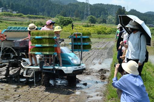 【2026年5月17日(日) 】志観寺の棚田で田植え体験   はじめての泥んこも、今日はちょっと楽しい !!-4