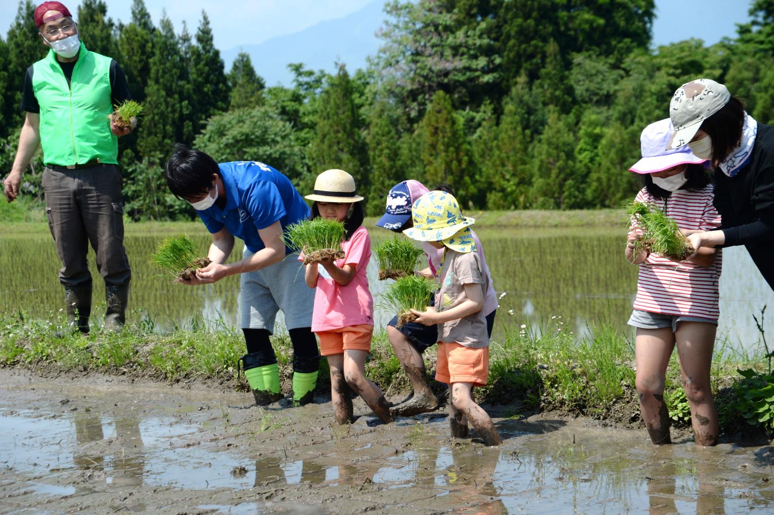 【2026年5月17日(日) 】志観寺の棚田で田植え体験   はじめての泥んこも、今日はちょっと楽しい !!-1
