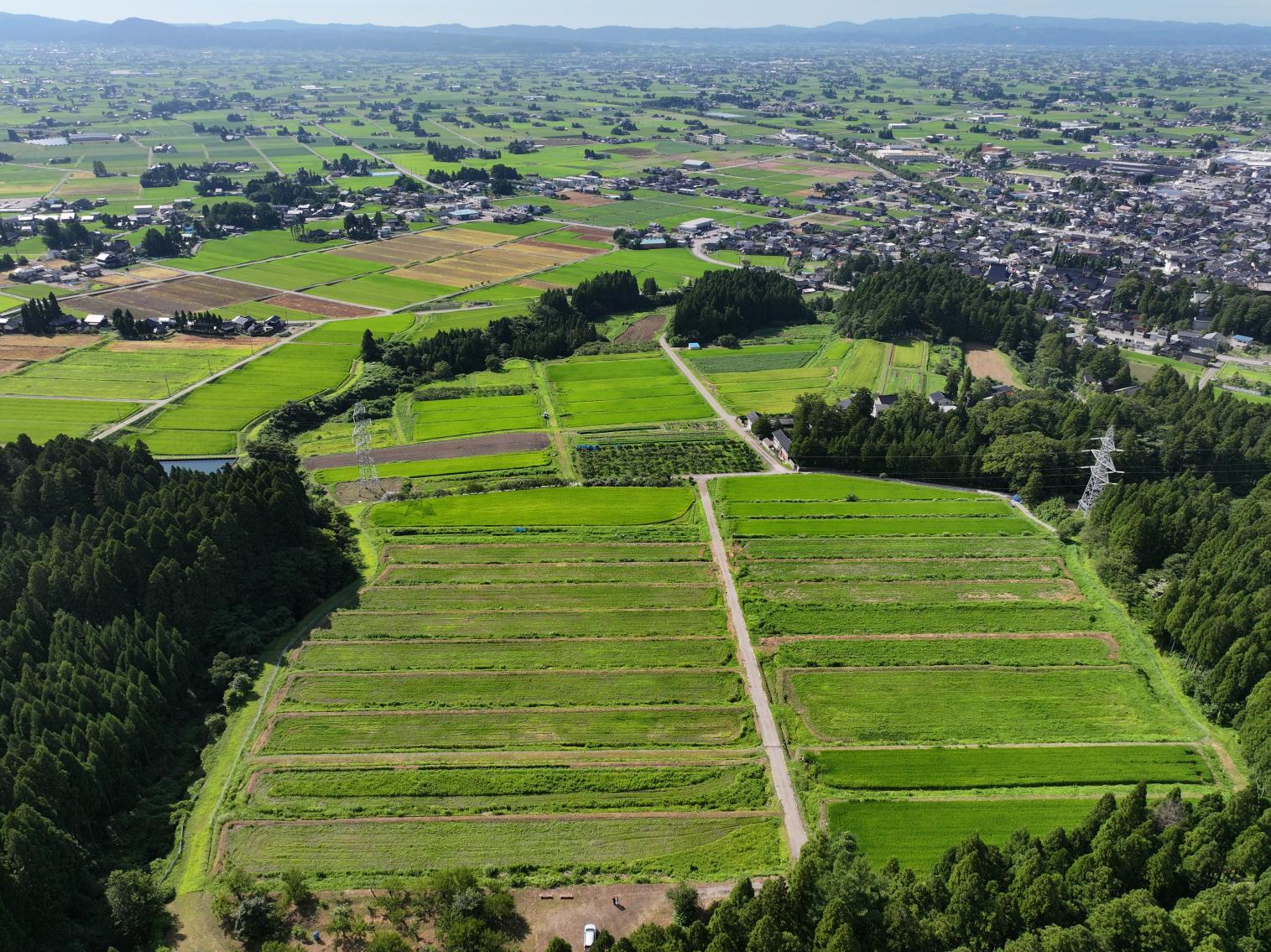 【2026年5月17日(日) 】志観寺の棚田で田植え体験   はじめての泥んこも、今日はちょっと楽しい !!-3