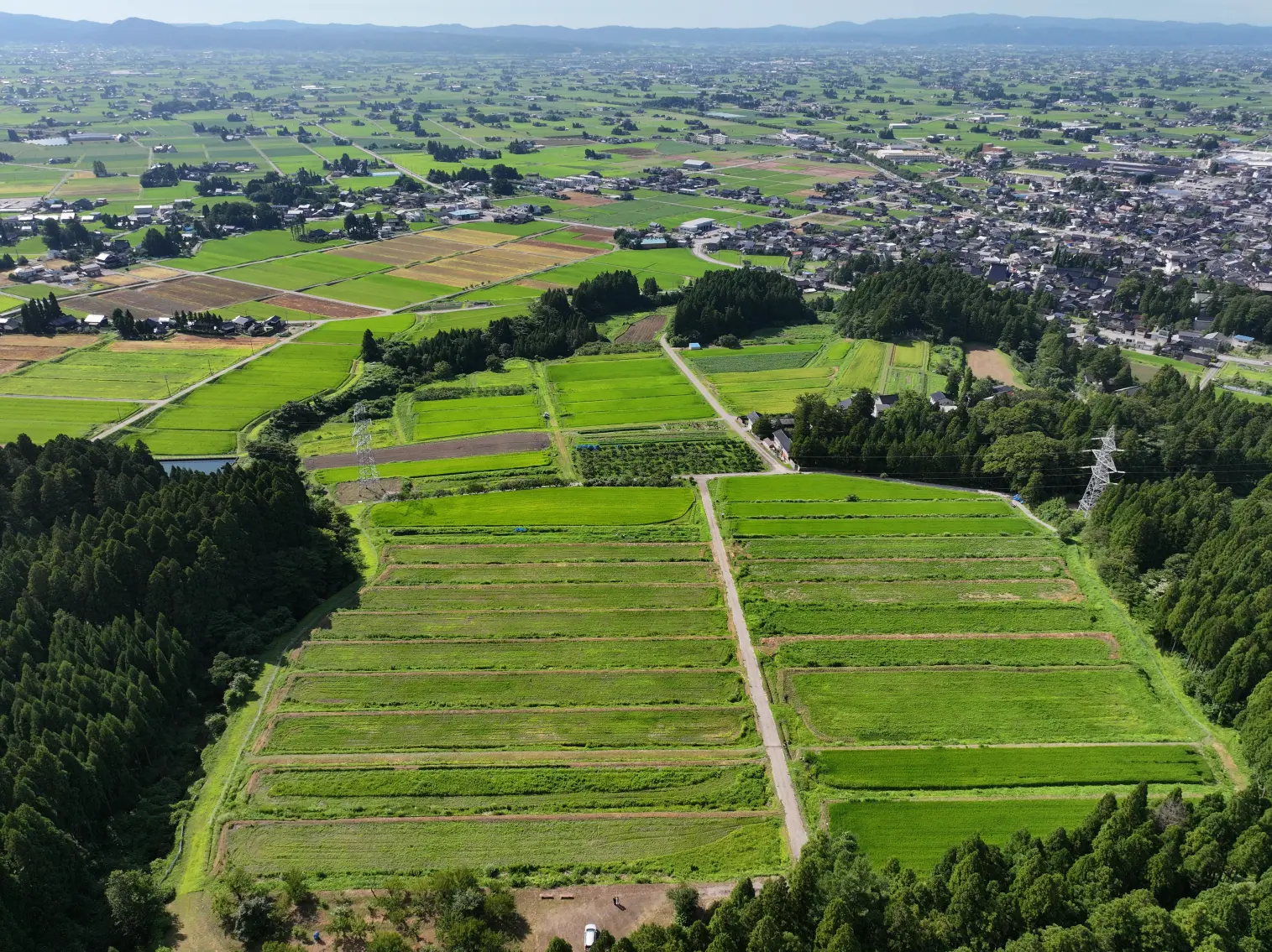 【2026年5月17日(日) 】志観寺の棚田で田植え体験   はじめての泥んこも、今日はちょっと楽しい !!-3
