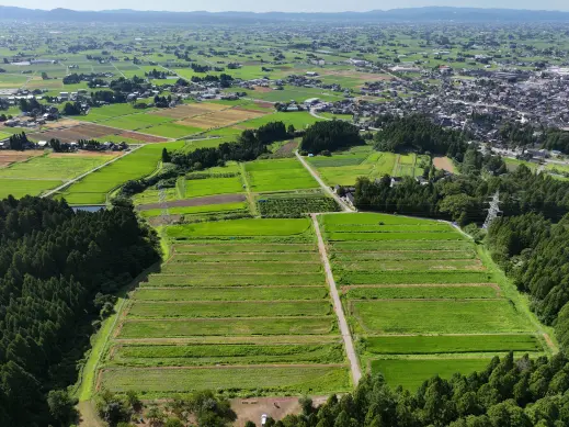 【2026年5月17日(日) 】志観寺の棚田で田植え体験   はじめての泥んこも、今日はちょっと楽しい !!-3